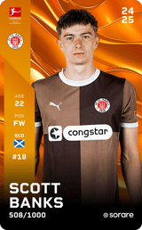 Scott Banks - limited