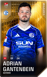 Adrian Gantenbein - limited