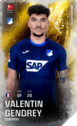 Valentin Gendrey - limited