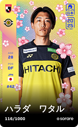 Wataru Harada - limited