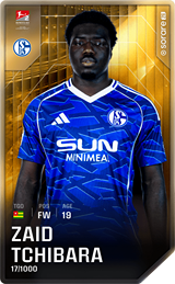 Zaid Amoussou-Tchibara - limited