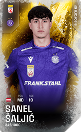 Sanel Šaljić - limited