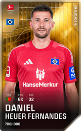 Daniel Heuer Fernandes - limited