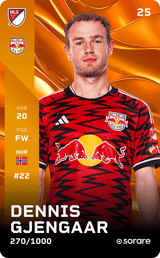 Dennis Gjengaar - limited