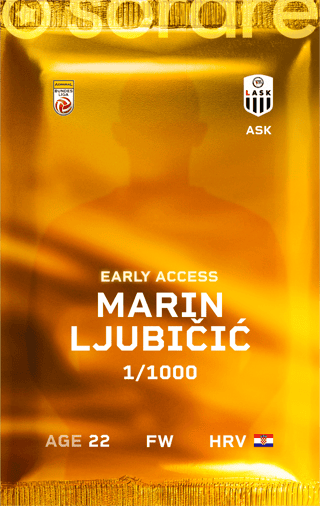 Marin Ljubičić