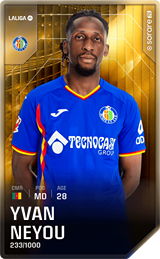 Yvan Neyou - limited