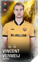 Vincent Vermeij - limited