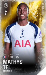 Mathys Tel - limited