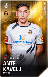 Ante Kavelj - limited