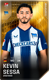 Kevin Sessa - limited