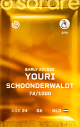 Youri Schoonderwaldt - limited