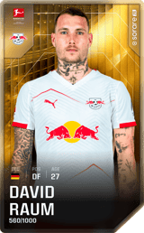 David Raum - limited