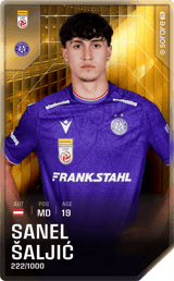 Sanel Šaljić - limited