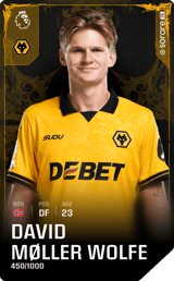 David Møller Wolfe - limited