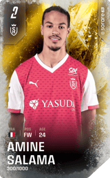 Amine Salama - limited