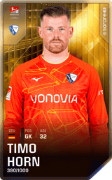 Timo Horn - limited