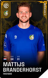 Mattijs Branderhorst - limited