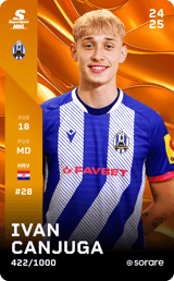 Ivan Canjuga - limited
