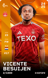 Vicente Besuijen - limited