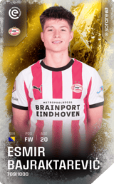 Esmir Bajraktarevic - limited