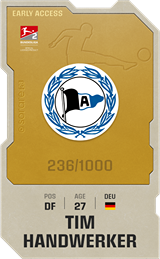 Tim Handwerker - limited