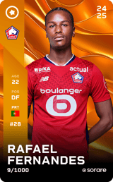 Rafael Fernandes - limited