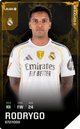 Rodrygo - limited