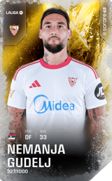 Nemanja Gudelj - limited