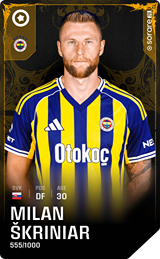 Milan Škriniar - limited