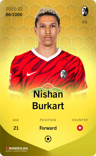 Nishan Burkart - limited