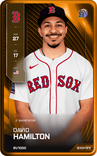 David Hamilton - limited