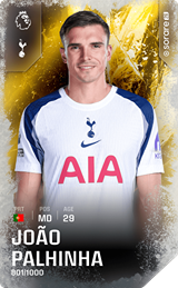 João Palhinha - limited