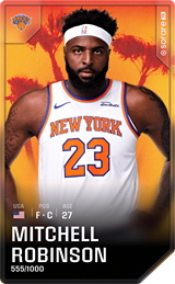 Mitchell Robinson - limited