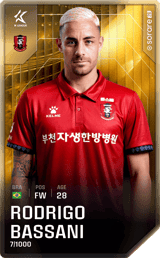 Rodrigo Bassani - limited