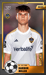 Harbor Miller - limited