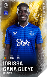 Idrissa Gana Gueye - limited