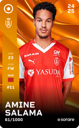 Amine Salama - limited
