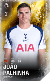 João Palhinha - limited