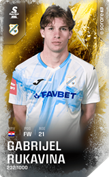 Gabrijel Rukavina - limited