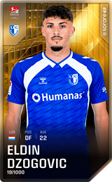 Eldin Dzogovic - limited