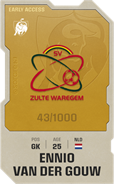 Ennio van der Gouw - limited