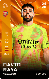 David Raya - limited