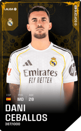 Dani Ceballos - limited