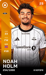Noah Holm - limited