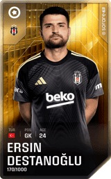 Ersin Destanoğlu - limited
