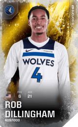 Rob Dillingham - limited