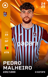 Pedro Malheiro - limited