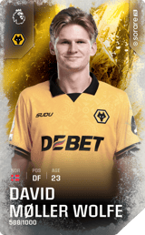David Møller Wolfe - limited