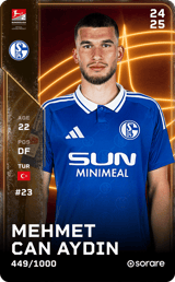 Mehmet Can Aydin - limited