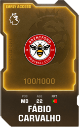Fábio Carvalho - limited
